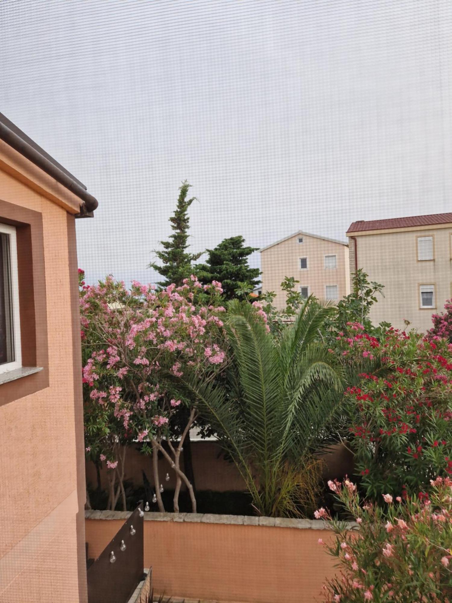 Aurelia Apartments, Vir Bagian luar foto